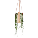 Load image into Gallery viewer, Handmade Leather Plant Hanger - Small
